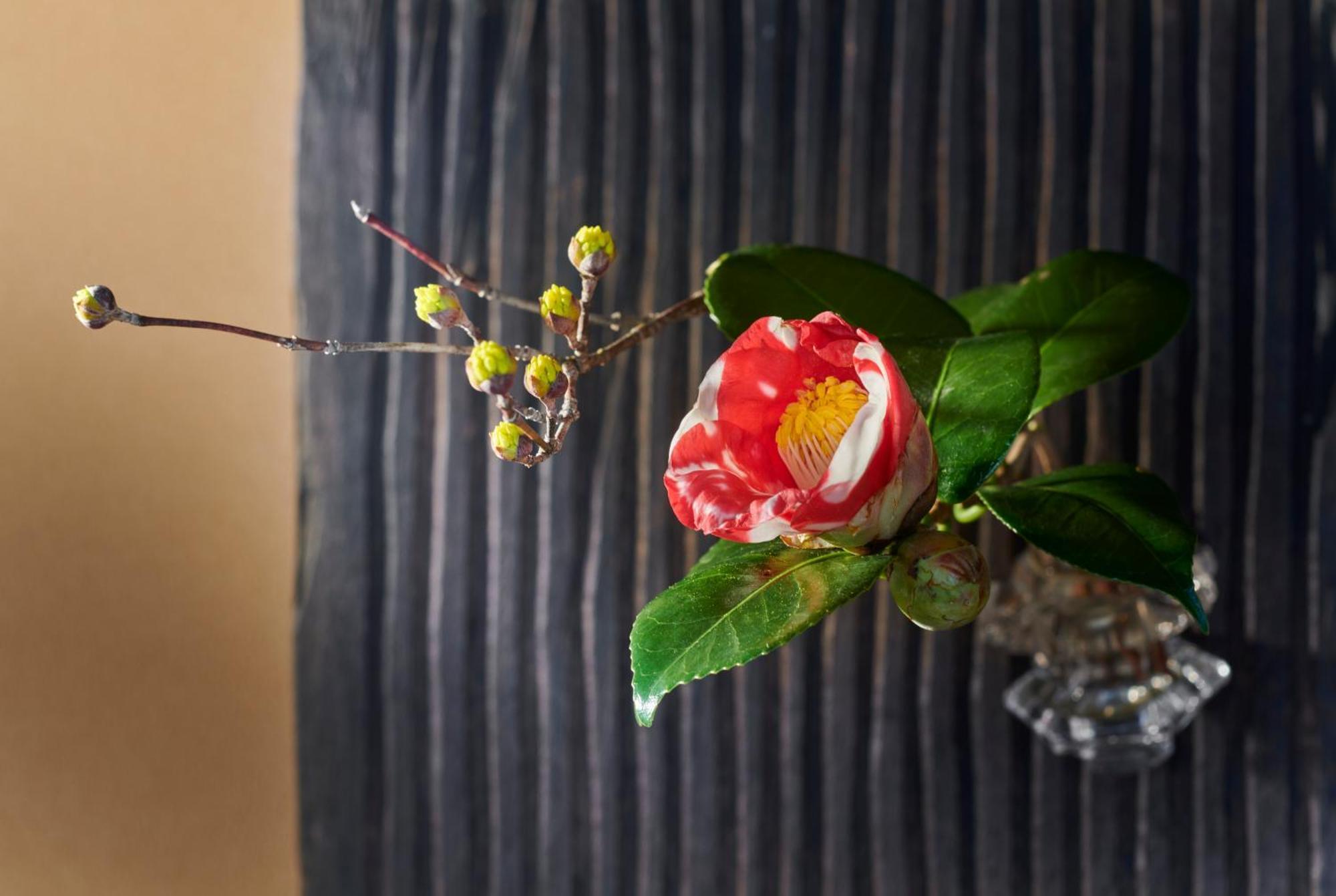 Arima Onsen Takayamaso Hanano (Adults Only) Kobe Exterior foto